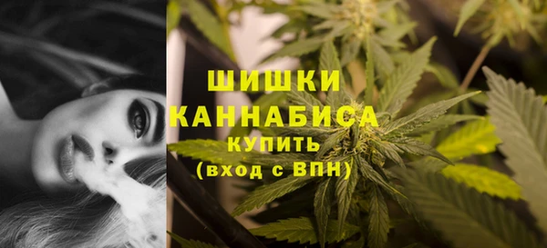 дмт Богородицк