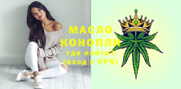 дмт Богородицк
