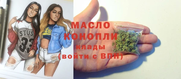 дмт Богородицк