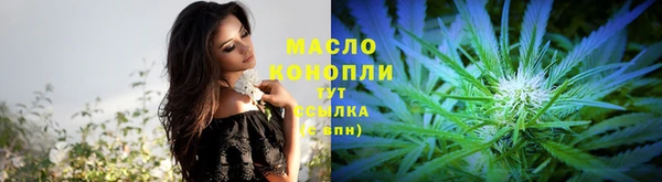 дмт Богородицк