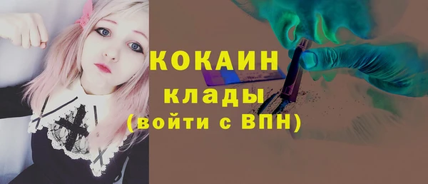 дмт Богородицк
