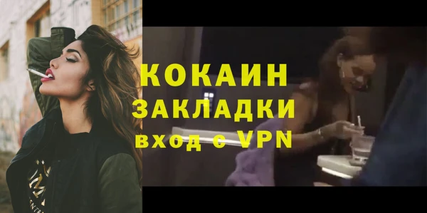 дмт Богородицк