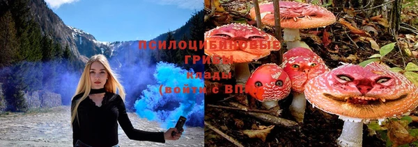дмт Богородицк