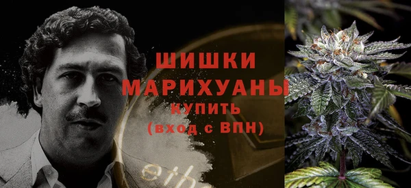 apvp Богданович