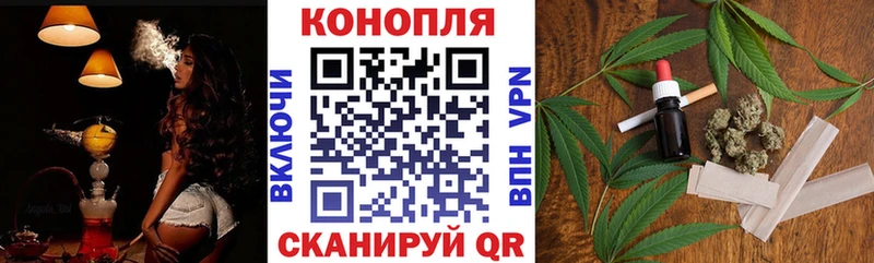 где найти наркотики  Воронеж  МАРИХУАНА ГИДРОПОН 